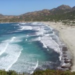 la prima regola del surfcasting è capire il mare