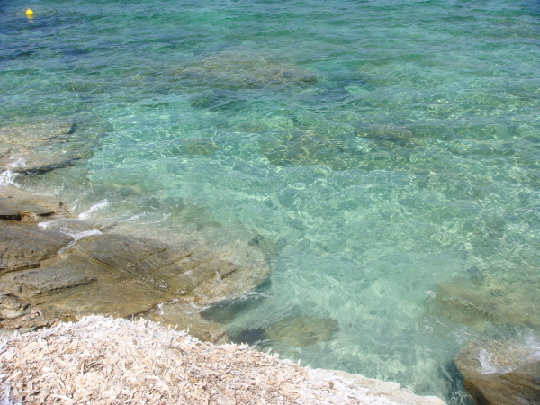 la foce e il misto sabbia scogli sono ottimi posti per il surfcasting