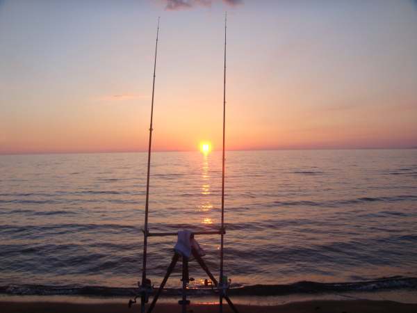 prevedere i movimenti dei pesci ci permettere di fare ottime battute di surfcasting