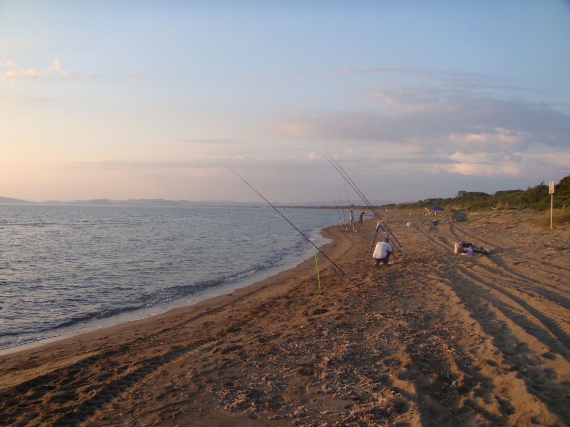 tante canne da surfcasting sulla spiaggia di giannella