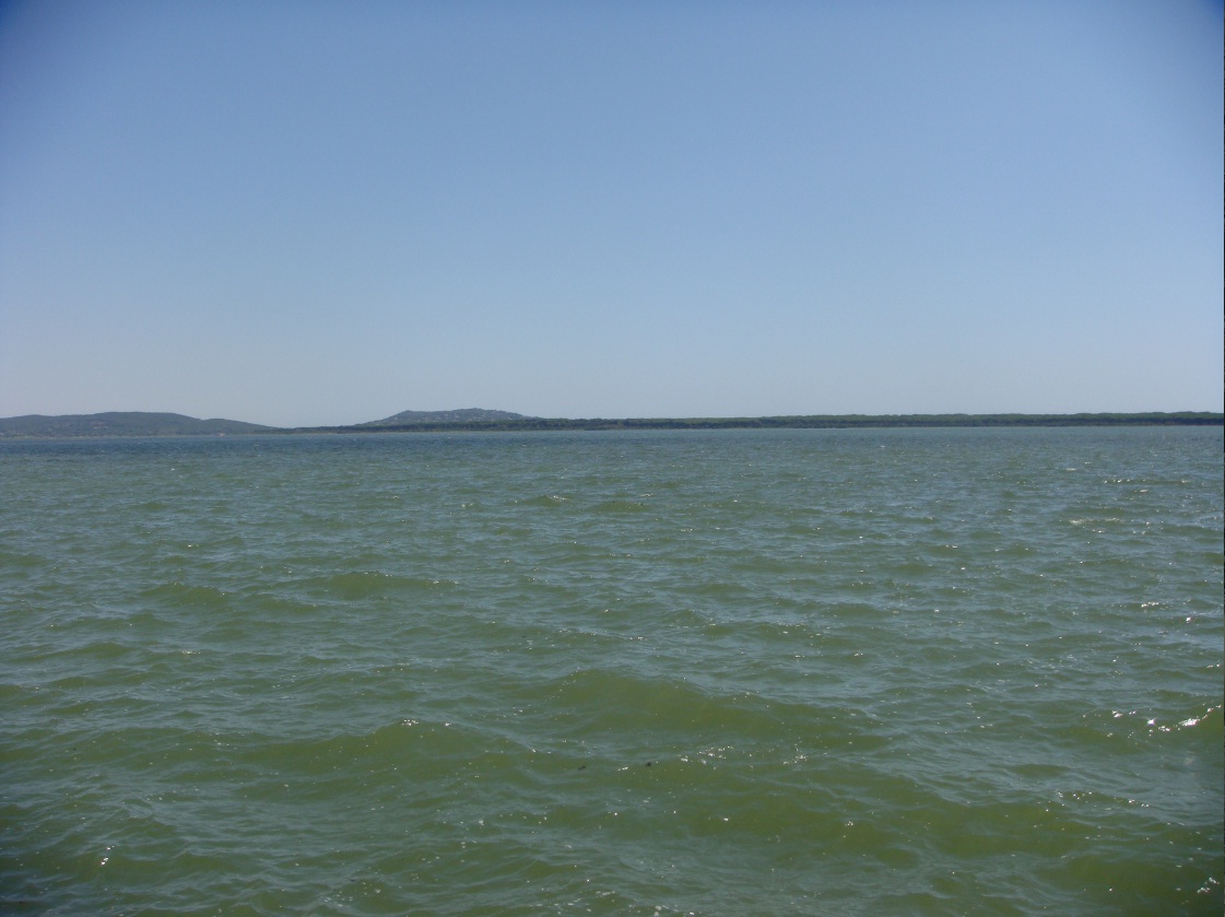 surfcasting alla laguna di orbetello