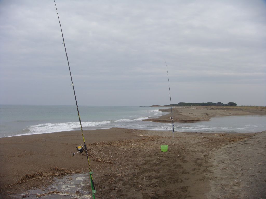 surfcasting con il vivo