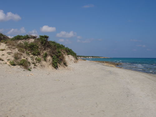 Surfcasting Puglia frassanito