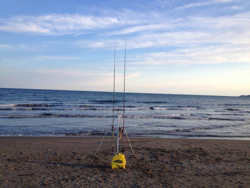 Surfcasting Fenigia