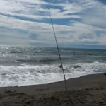 Montature per il surfcasting